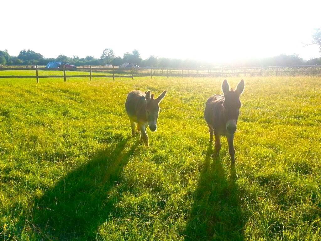 אוקספורד Valley Farm Bells מראה חיצוני תמונה
